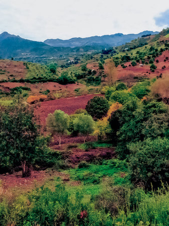 Embrace the natural beauty of plowing on acres of farmland, a journey through the heart of rural...
