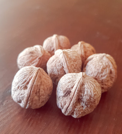 World of walnut seeds to grow walnuts