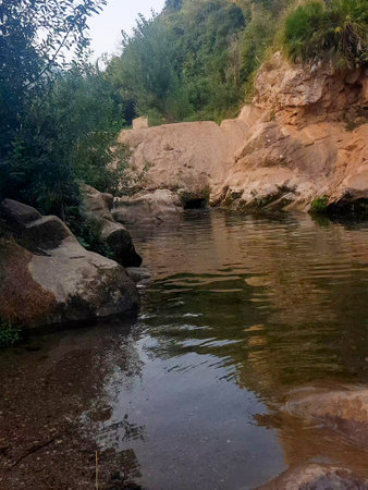 Beauty of the natural world reflected in the valley pond. The pond is surrounded by lush vegetation, rocks, and the water is crystal clear. reflection of the trees, plants, and rocks in the waterの写真素材
