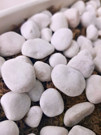 Elegant white rocks in a close view - the tone of modern home decor