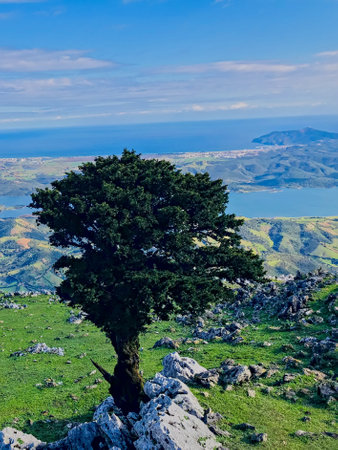 Nature from above with this top view of a landscape adorned with a solitary tree. The scene captures the magic of rolling hills, shimmering lakes, and vibrant plants that create a vivid tapestry belowの写真素材