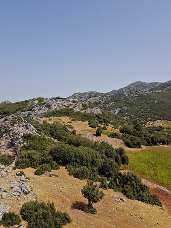 The trail heads to a high peak, opening onto sunny, rocky hills dotted with oak trees, and reaches a...