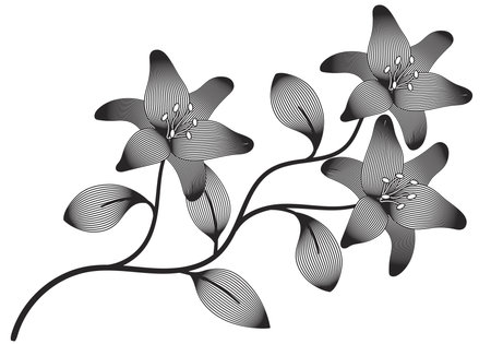 line art plant doodle illustration background.のイラスト素材