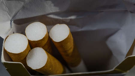 cigarettes in the box. macro close up photoshoot