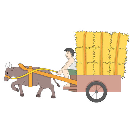 Village youths are riding on carts carrying hay. vector design illustration artのイラスト素材
