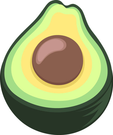 illustration of fruit, half an avocado, creative drawingのイラスト素材