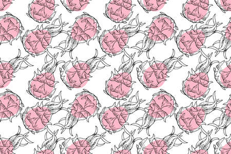 vector illustration red pink dragon pitaya fruit exotic tropical food repeat seamless pattern doodle cartoon style. Great for fabric packaging wallpaperのイラスト素材