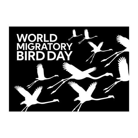flamingo world migratory bird day poster design vector illustrationのイラスト素材