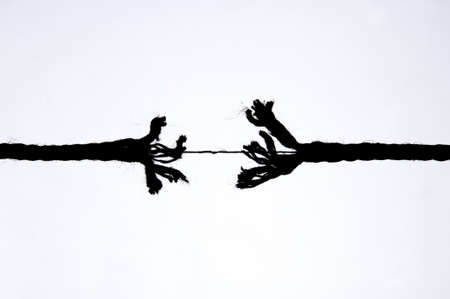 Frayed rope on a white backgroundの写真素材