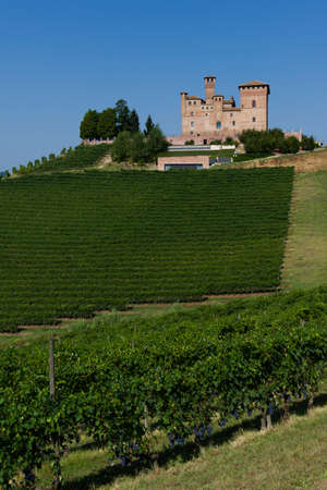 Grinzane Cavour, Italy - August 11, 2015: Summer view of the Castle of Grinzane Cavour Unesco heritage in the territory of the Langhe Piedmont Italyのeditorial素材