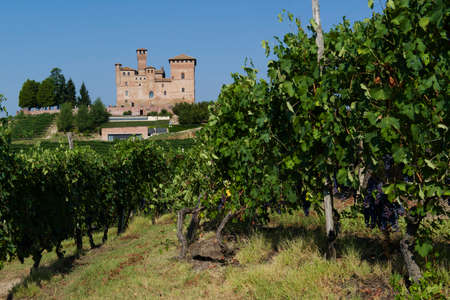 Grinzane Cavour, Italy - August 11, 2015: Summer view of the Castle of Grinzane Cavour Unesco heritage in the territory of the Langhe Piedmont Italyのeditorial素材