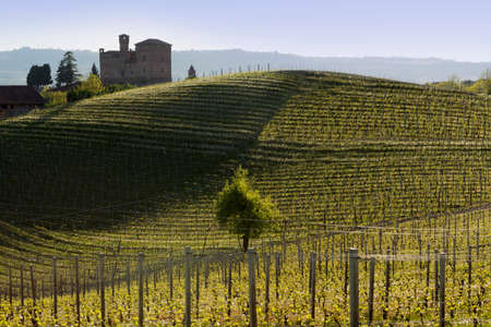 Grinzane Cavour, Italy - April 21, 2015: Spring view of the Castle of Grinzane Cavour Unesco heritage in the territory of the Langhe Piedmont Italyのeditorial素材