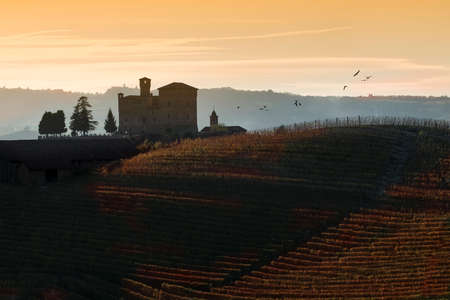 Grinzane Cavour, Italy - October 23, 2014: View the sunset over the hills of the Castle of Grinzane Cavour Unesco heritage in the territory of the Langhe Piedmont Italy, migratory birds flying in the skyのeditorial素材