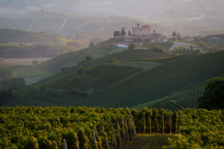 Grinzane Cavour, Italy - August 11, 2015: Summer view of the Castle of Grinzane Cavour Unesco heritage in the territory of the Langhe Piedmont Italyのeditorial素材