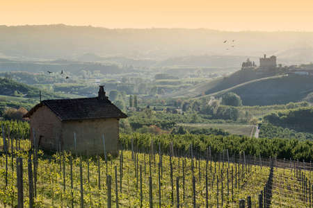 Grinzane Cavour, Italy - April 21, 2015: Spring view of the Castle of Grinzane Cavour Unesco heritage in the territory of the Langhe Piedmont Italy, migratory birds flying in the skyのeditorial素材