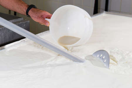 Cheesemaker pours rennet in a large tank full of milk steelの写真素材