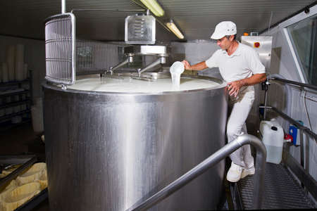 Cheesemaker pours rennet in a large tank full of milk steelの写真素材