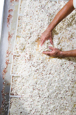 Dairyman put into the container same fresh cheese flavored with chili pepper