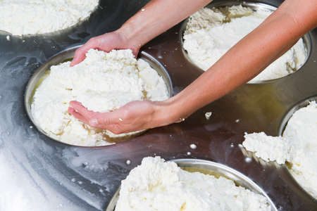 Cheesemaker preparing fresh cheese to divide it into several pieces and forms