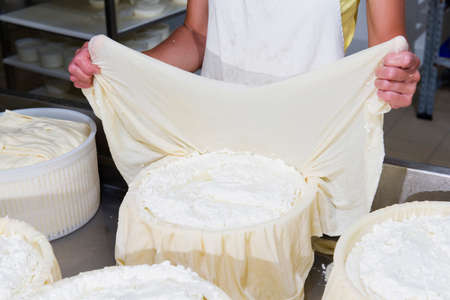 Cheesemaker preparing fresh cheese to divide it into several pieces and forms