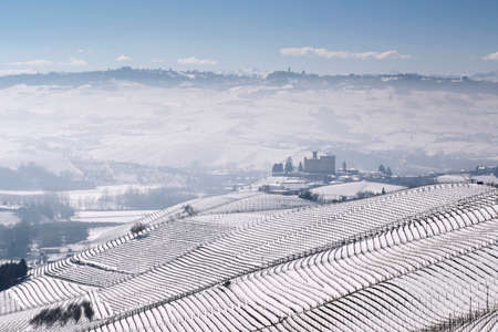Grinzane Cavour, Italy - March 3, 2016: Winter view of the vineyards of Langa, on the bottom, the Castle of Grinzane Cavour, Piedmont, Italy.のeditorial素材