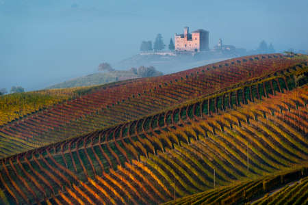 Grinzane Cavour, Italy - October 30, 2016: Autumn Vineyards on the hills, at the bottom the Castle of Grinzane Cavour wrapped in fogのeditorial素材