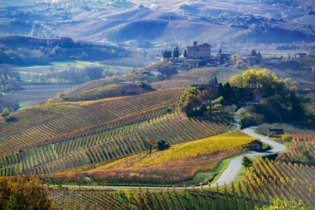 Grinzane Cavour, Italy - November 12, 2016: Road between the hills of Langa Piemonte Italy, at the bottom the castle of Grinzane cavourのeditorial素材