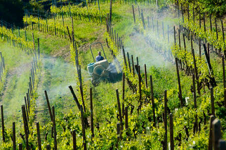 Farmer with tractor between vineyards for the chemical treatment of grapesの写真素材