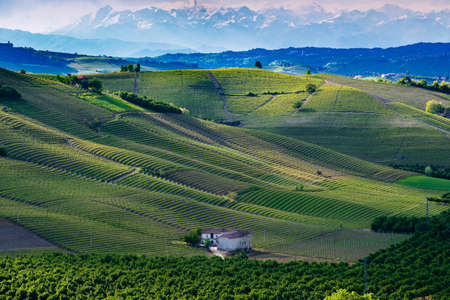 View over the vineyards and hills of Langa Piemonte Italy during a thunderstormの写真素材