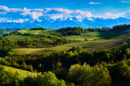 View of the vineyards and hills of Langa Piedmont Italy, at the bottom the mountains with clouds on...