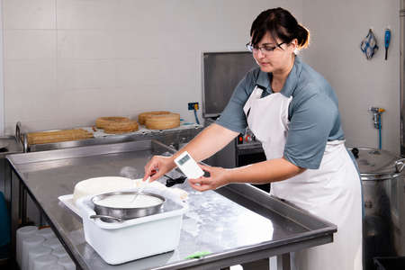 Cheesemaker measures the temperature of milk in a steel container with an electronic thermometer