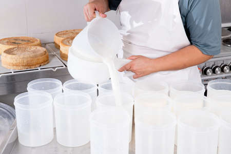 Cheesemaker pours the curdled milk into plastic forms to shape the cheeseの写真素材