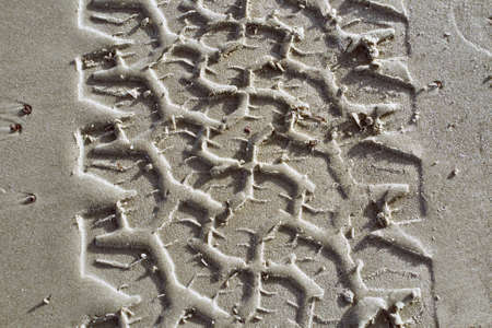 close up of some fresh tire tracks in the sandの写真素材
