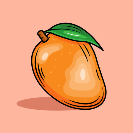 illustration of mangoのイラスト素材