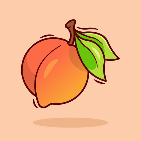 illustration of peachのイラスト素材