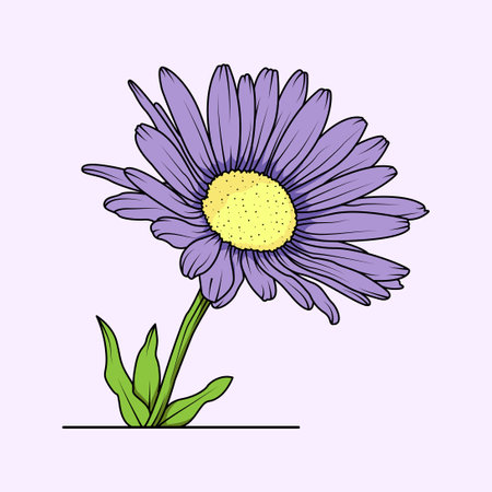 Purple daisy flower on a purple background. Vector illustration.のイラスト素材