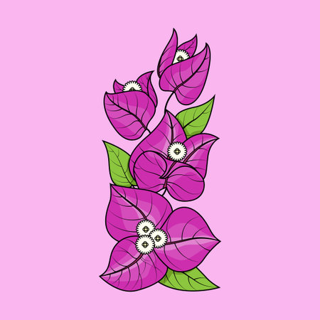 Bougainvillea flower on pink background. Vector illustration.のイラスト素材