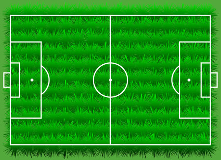 Soccer field with grass. Vector illustration of a soccer field.のイラスト素材