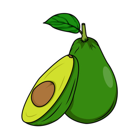 Avocado icon. Cartoon illustration of avocado vector icon for web designのイラスト素材