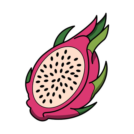 dragon fruit tropical fruit icon vector illustration design graphic flat and cartoon styleのイラスト素材