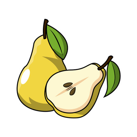 pear fruit icon over white background. colorful design. vector illustrationのイラスト素材