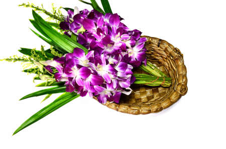 Orchid beautifulの素材