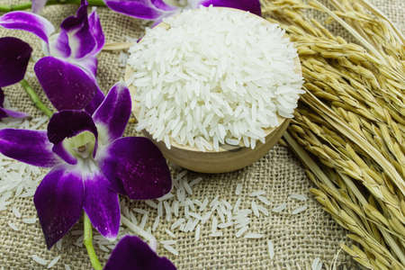 The rice is in a wooden cup and a paddy ricec and an orchid are placed on the hempsack.の写真素材