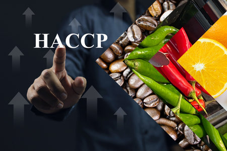 HACCP or hazard analysis critical control point standard for food safety certification in the food industry for consumers to be confident in quality and contaminant-free. Fresh vegetable concept.の写真素材