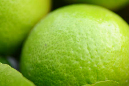 Lemon peel closed-up.の写真素材