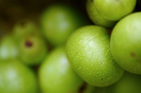 Raw cluster fig fruit の写真素材