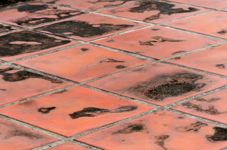 Old earthenware floor の写真素材