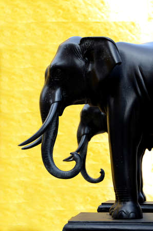 Elephants sculpture on golden background 