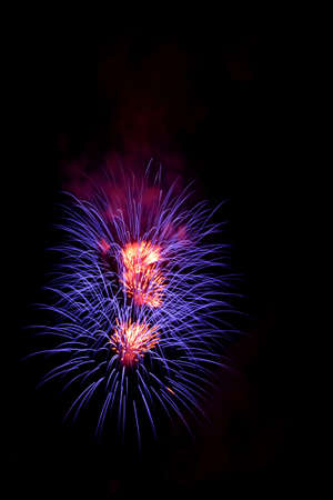 Firework Celebrations 