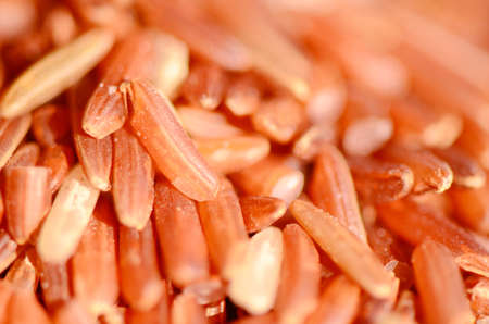 Brown Rice の写真素材